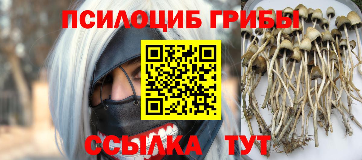 Азнакаево  Псилоцибиновые грибы GOLDEN TEACHER  цены наркотик  Вход с VPN  Псилоцибиновые грибы Magic Shrooms 